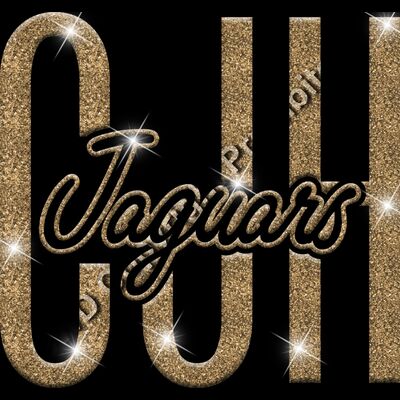 GLT95 GOLD GLITTER Thumbnail